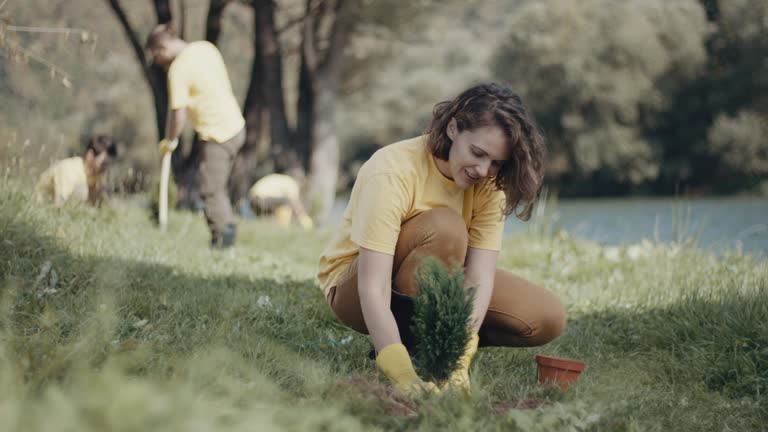 Best Stump Grinding and Removal  in Troy, NC