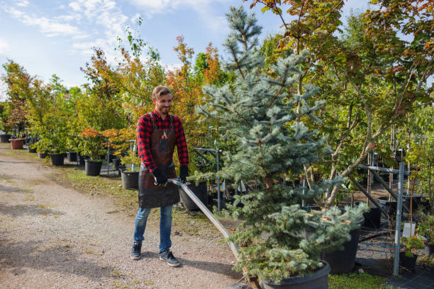 Best Weed Control  in Troy, NC