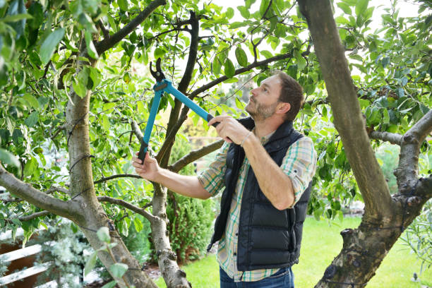 Best Arborist Consultation Services  in Troy, NC